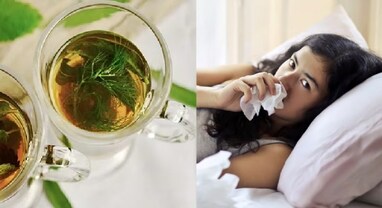 Cold and Flu Home Remedies: આ ઘરગથ્થુ ઉપચાર છે શરદી - ખાંસી માટે રામબાણ ઇલાજ, જલ્દી થઇ શકશો ઠીક