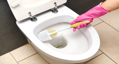 Cleaning Hacks: દરરોજ ટોયલેટ સાફ કરવાની ઝંઝટ ખતમ, આ 3 વસ્તુ નાંખી દો, રહેશે એકદમ ચકાચક
