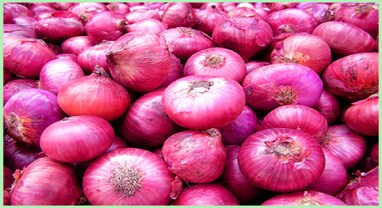 Onion Prices: મહુવા માર્કેટ યાર્ડ ડુંગળીની આવકથી છલકાયું, ભાવ ઘટાડાથી ખેડૂતોમાં નિરાશા