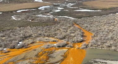 Streams in Alaska: અલાસ્કામાં નદીઓનો રંગ થયો નારંગી, વૈજ્ઞાનિકો આ અજાણ્યા ફેરફારથી આશ્ચર્યચકિત
