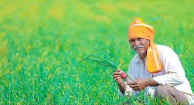 Union Budget 2024: ડિમાન્ડ અને એગ્રીકલ્ચર ઇકોનૉમીને વધારો આપવા માટે જાહેરાત કરી શકે છે સરકાર