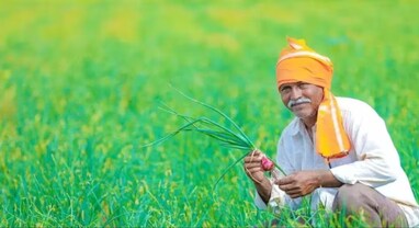 Economic Survey: અગ્રી સેક્ટરમાં રહ્યું સારૂ પ્રદર્શન, સર્વેમાં પડકારની વચ્ચે પણ સ્થિરતા