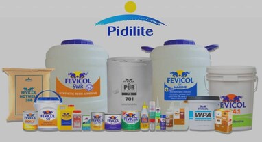 Pidilite Industries Q3: નફો 6.3 ટકા ઘટીને 317.2 કરોડ, આવક 0.1 ટકા ઘટી