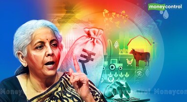 Budget 2024: એગ્રી સેક્ટરની શું છે બજેટથી આશા?