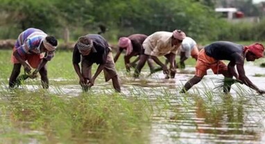 PM-Kisan Samman Nidhi: PM-કિસાન યોજનાના હપ્તામાં મોટો વધારો, આ ખેડૂતો માટે સારા સમાચાર