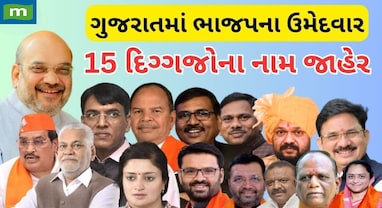 Lok Sabha Elections 2024: ભાજપે ગુજરાતથી 15 ઉમેદવારો કરી દીધા છે જાહેર, જાણો કોણ રિપીટ કોણ કપાયું..?
