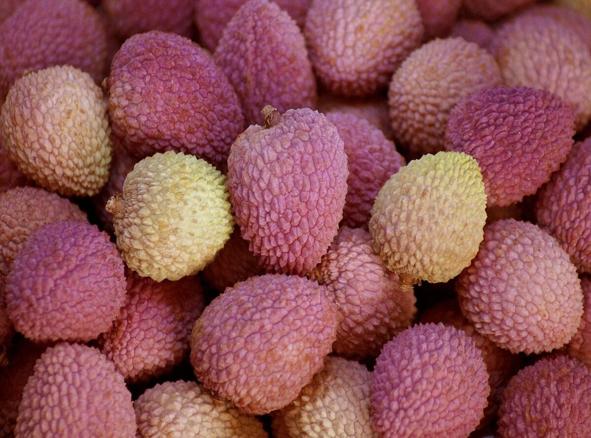 lychee-3999315_1920