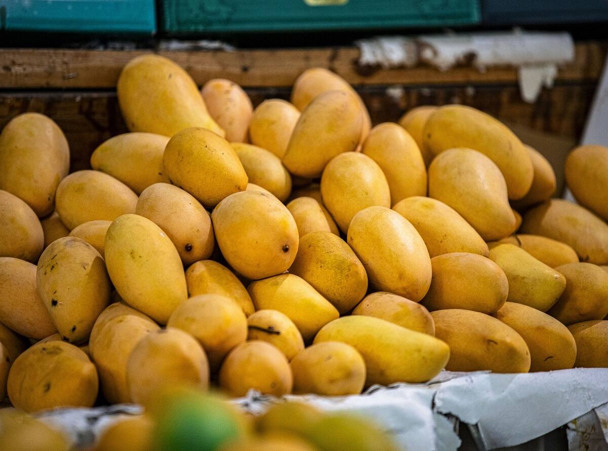 mango-8283268_1920