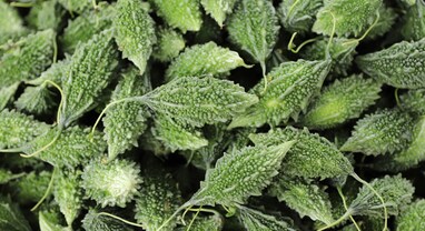 Tips And Tricks: કારેલાની કડવાશ પળવારમાં થશે દૂર, આ ટીપ્સ કરો ફોલો