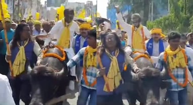 Purulia Lok sabha candidate nomination: ભેંસ પર સવાર થઈને નામાંકન માટે પહોંચ્યો ઉમેદવાર, રેલીમાં ઘેટા અને મરઘા પણ થયા સામેલ! Purulia Lok sabha candidate nomination: ભેંસ પર સવાર થઈને નામાંકન માટે પહોંચ્યો ઉમેદવાર, રેલીમાં ઘેટા અને મરઘા પણ થયા સામેલ!