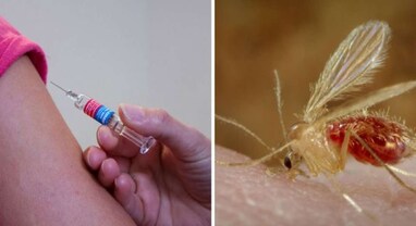 Chandipura virus: મગજના સોજાના ખતરનાક વાયરસે લીધો 4 બાળકોનો જીવ, જાણો લક્ષણો અને નિવારણની રીત