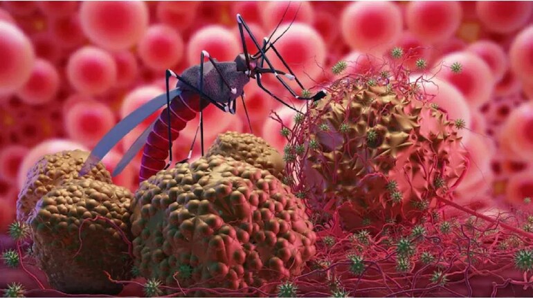 Chandipura virus: મગજના તાવ જેવો ખતરનાક છે ચાંદીપુરા વાયરસ, કેવી રીતે બન્યો મોતનું કારણ? | Moneycontrol Gujarati