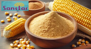 Sanstar ની શેર બજારમાં મામૂલી વધારાની સાથે લિસ્ટિંગ, 15% પ્રીમિયમની પર લિસ્ટ
