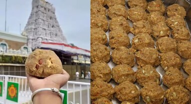 તિરુપતિ બાલાજી મંદિરના પ્રસાદમાં બીફ ચરબી અને માછલીના તેલની પુષ્ટિ, TDP દર્શાવ્યો લેબ રિપોર્ટ