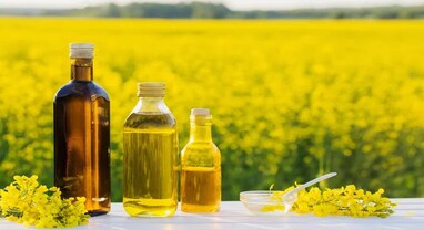 Edible Oil પર સરકાર આયાત ડ્યુટી વધારવા પર કર રહી છે વિચાર