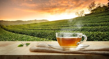 Tea Production: ચાના બગીચામાંથી આવ્યા આ ખરાબ સમાચાર, ‘ચા' પીવી પડશે મોંઘી!