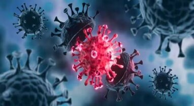 HMPV virus Gujarat: ગુજરાતમાં HMP વાયરસનો વધુ એક કેસ પોઝિટિવ, કુલ આંકડો 6 પર પહોંચ્યો