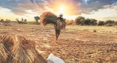 Budget 2025: શું સરકાર પાકના MSPમાં કરશે વધારો? ખેડૂત નેતાઓએ આ માંગણીઓ કરી રજૂ