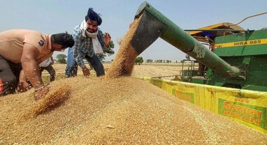 Gujarat farmers: ગુજરાત રાજ્યમાંથી 2 લાખ મેટ્રિક ટન ઘઉં ખરીદવાની જાહેરાત.. ખેડૂતોને પોષણક્ષમ ભાવ મળી રહે તે માટે નિર્ણય