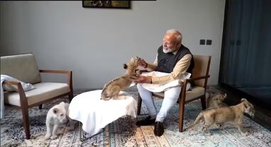 PM Modi at Vantara: સિંહના બચ્ચાને વ્હાલ કરતા જોવા મળ્યા PM મોદી, જુઓ વીડિયો
