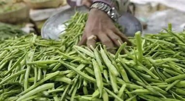 Commoity Market: ગુવારના ભાવ ઘટ્યા, શું છે કારણ અને કઈ કોમોડિટીઝમાં જોવા મળી રહી છે ગતિવિધિ