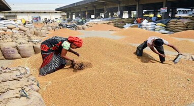 સરકારે 2025-26 સીઝનમાં ખરીદ્યા 2.86 કરોડ ટન ઘઉં, ખેડૂતોને મળ્યા 62,346 કરોડ રૂપિયાનું પેમેન્ટ