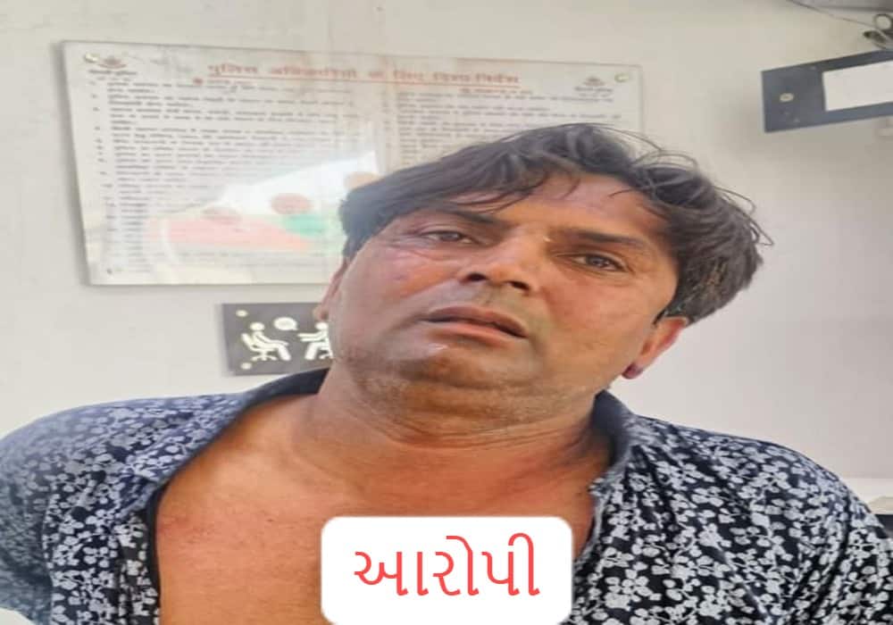 WhatsApp Image 2025-08-20 at 11.08.52 AM