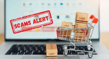 Cyber Scam: તહેવારોની સેલમાં સ્કેમર્સથી સાવધાન! સુરક્ષિત શોપિંગ માટેની ટિપ્સ