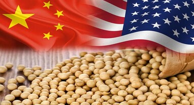 Trump China Tariffs: ટ્રમ્પના ચીન વિરુદ્ધ ટેરિફ વોરથી અમેરિકન ફાર્મર્સને 12 બિલિયન ડોલરનો મોટો ફટકો, સોયાબીનનું માર્કેટ ગુમાવ્યું, કઈ રીતે થયું આ?