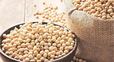 Soybean Prices: સોયાબીનના ભાવમાં ભારે ઘટાડો, MSPથી 15% નીચે ટ્રેડ, ખેડૂતો ચિંતામાં
