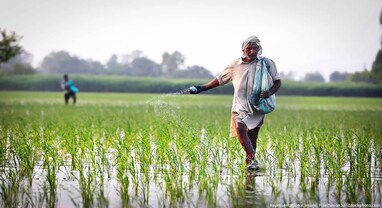 India Agri Growth: ભારતની ખેતી ચીનથી ઘણી પાછળ: નિષ્ણાતોનો ખુલાસો, આ છે મોટા અંતરનાં કારણો India Agri Growth: ભારતની ખેતી ચીનથી ઘણી પાછળ: નિષ્ણાતોનો ખુલાસો, આ છે મોટા અંતરનાં કારણો