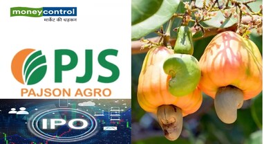 Pajson Agro IPO Listing: રોકાણકારોને લિસ્ટિંગ પર 5% નફો, પછી શેર ગગડ્યો; રોકાણ પહેલા જાણો કંપનીનો સંપૂર્ણ બિઝનેસ