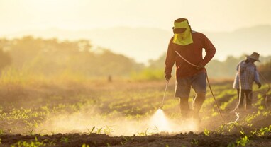 Fertilizer stocks : PM મોદીની જોર્ડનની મુલાકાત અને નાણામંત્રીના નિવેદન બાદ ખાતરના સ્ટોકમાં ઉછાળો, જેમાં FACT અને પારાદીપમાં 7%નો વધારો