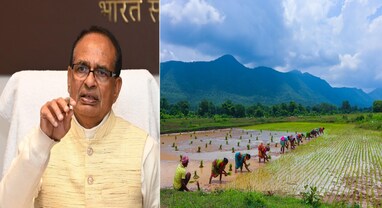 India Worlds Largest Rice Producer: ચીનને પછાડી ભારત બન્યું ચોખાનું બાદશાહ, કૃષિ મંત્રી શિવરાજ સિંહે આપી ખુશખબર