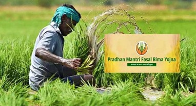 Pradhan Mantri Fasal Bima Yojana: ખેડૂતોનો સાચો સુરક્ષા કવચ, પ્રધાનમંત્રી પાક વીમા યોજના, જાણો સંપૂર્ણ લાભ અને અરજી પ્રક્રિયા
