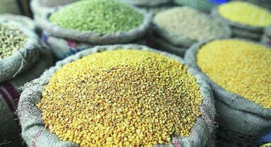 ભારત પર દબાણ? અમેરિકી સાંસદોએ ટ્રમ્પને લખ્યો પત્ર: દાળ પરની ઈમ્પોર્ટ ડ્યુટી ઘટાડવા કરી માગ, જાણો સમગ્ર મામલો
