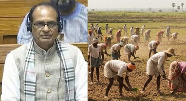 India-US Trade Deal: ‘ખેડૂતોના હિત સાથે કોઈ સમજૂતી નહીં', શિવરાજ સિંહ ચૌહાણે વિપક્ષને આપ્યો જડબાતોડ જવાબ