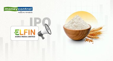Elfin Agro IPO Listing: શેરબજારમાં ધીમી એન્ટ્રી બાદ ઉછળ્યો 47નો શેર, રોકાણ કરતા પહેલા જાણો કંપનીની આર્થિક સ્થિતિ