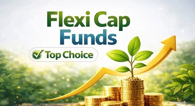 Flexi Cap Fund: માત્ર 1 વર્ષનું રિટર્ન જોઈને ફ્લેક્સી કેપ ફંડ પસંદ કરવાની ભૂલ ન કરતા, રોકાણ પહેલા આ ખાસ આંકડા જરૂર જુઓ