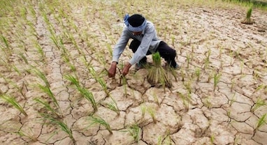 Monsoon Deficit Alert: ચોમાસાની વિદાય શરૂ,દેશના 14 રાજ્યોમાં દુકાળ જેવી સ્થિતિ, આ વર્ષે 10% ઓછો વરસાદ નોંધાશે Monsoon Deficit Alert: ચોમાસાની વિદાય શરૂ,દેશના 14 રાજ્યોમાં દુકાળ જેવી સ્થિતિ, આ વર્ષે 10% ઓછો વરસાદ નોંધાશે