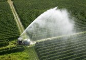 Jain Irrigation to merge international irrigation business with Temasek's Rivulis