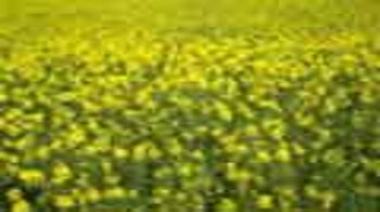 The corresponding increase was 13 per cent between 2004-05 and 2014-15.