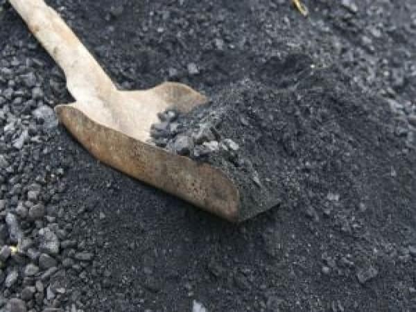 Govt earned 24% average revenue share via commercial coal mine auctions: Minister G Kishan Reddy