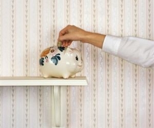 Macro Matters | It’s a puzzle why household savings in physical assets have fallen, but foreign savings offer succour