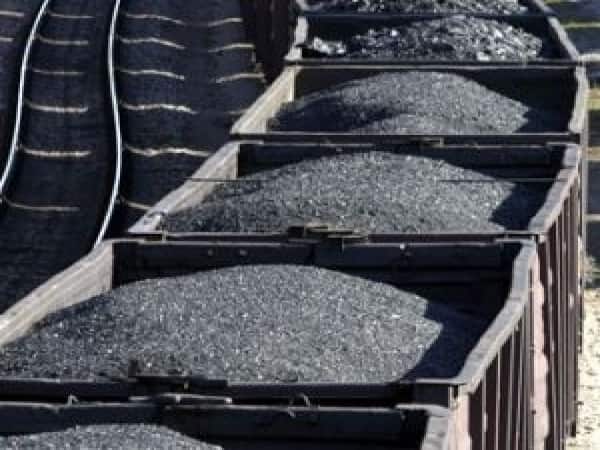 Coal India on fire after Q1 profit rises 178% YoY: Should you add more?