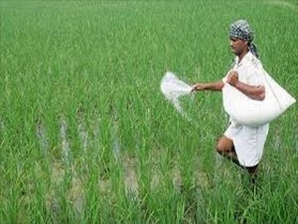 Chambal Fertilisers: Why are we avoiding this stock despite decent numbers?