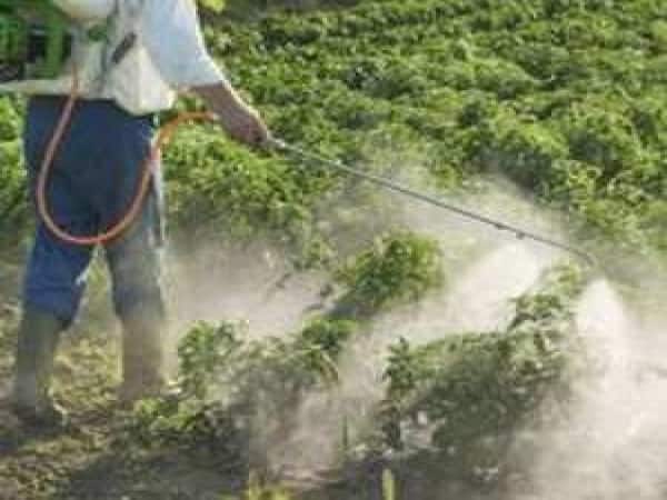 Exclusive | Zuari Agro looks to offload Mangalore Chemicals shares to Chambal Fertilisers: Sources Exclusive | Zuari Agro looks to offload Mangalore Chemicals shares to Chambal Fertilisers: Sources