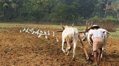 Par panel to invite states to present views on land bill