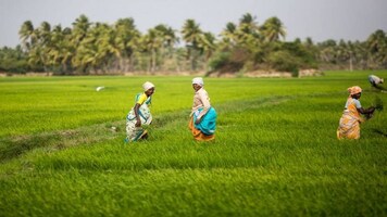 Lightrock India-backed Arya.ag buys AI agritech firm Prakshep to boost deep tech capabilities