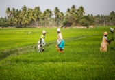 Retail inflation for agri, rural workers grows marginally in Feb 2023